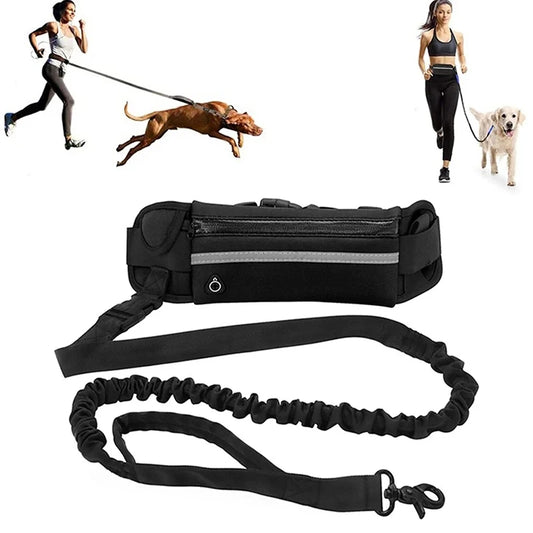 Hands-Free Reflective Dog Leash Set